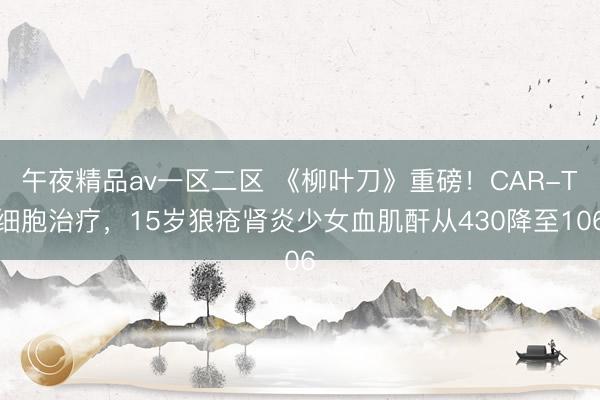 午夜精品av一区二区 《柳叶刀》重磅！CAR-T细胞治疗，15岁狼疮肾炎少女血肌酐从430降至106
