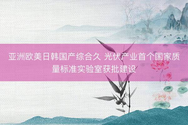 亚洲欧美日韩国产综合久 光伏产业首个国家质量标准实验室获批建设