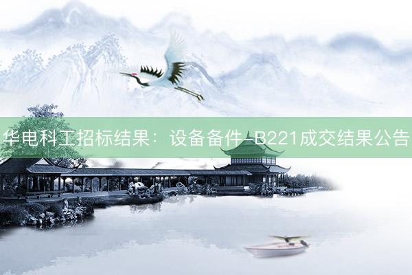 华电科工招标结果：设备备件-B221成交结果公告