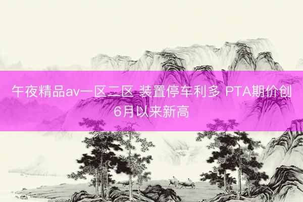 午夜精品av一区二区 装置停车利多 PTA期价创6月以来新高