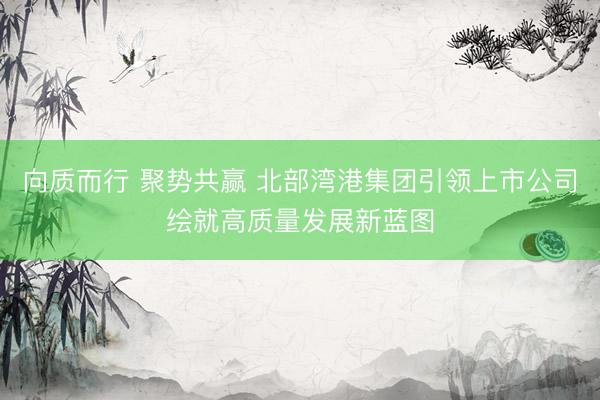向质而行 聚势共赢 北部湾港集团引领上市公司绘就高质量发展新蓝图