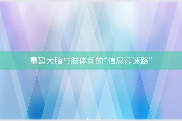 重建大脑与肢体间的“信息高速路”