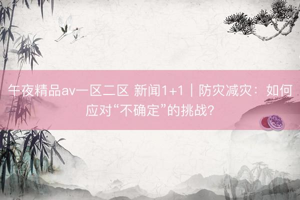 午夜精品av一区二区 新闻1+1｜防灾减灾：如何应对“不确定”的挑战？