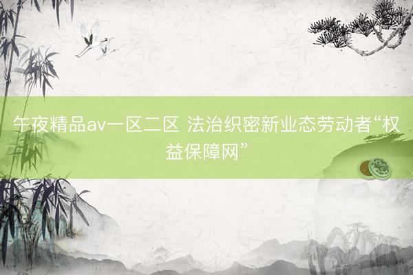 午夜精品av一区二区 法治织密新业态劳动者“权益保障网”