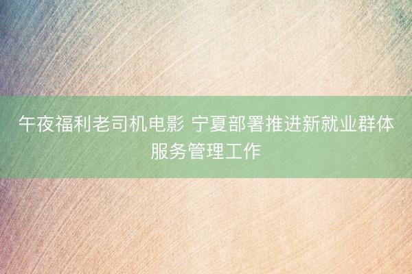 午夜福利老司机电影 宁夏部署推进新就业群体服务管理工作