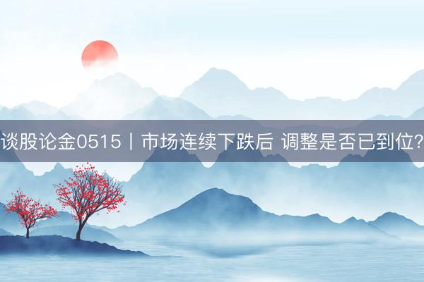 谈股论金0515丨市场连续下跌后 调整是否已到位？