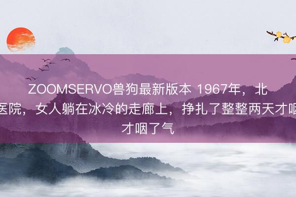 ZOOMSERVO兽狗最新版本 1967年，北京某医院，女人躺在冰冷的走廊上，挣扎了整整两天才咽了气
