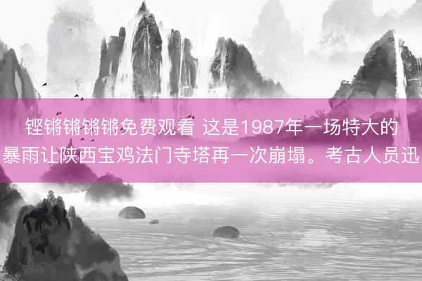 铿锵锵锵锵免费观看 这是1987年一场特大的暴雨让陕西宝鸡法门寺塔再一次崩塌。考古人员迅