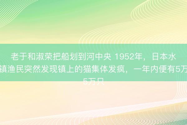 老于和淑荣把船划到河中央 1952年，日本水俣镇渔民突然发现镇上的猫集体发疯，一年内便有5万只