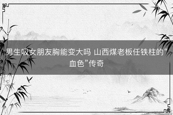 男生吸女朋友胸能变大吗 山西煤老板任铁柱的“血色”传奇