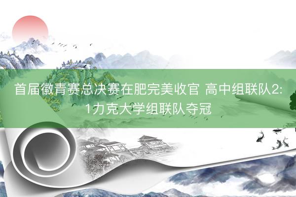 首届徽青赛总决赛在肥完美收官 高中组联队2:1力克大学组联队夺冠