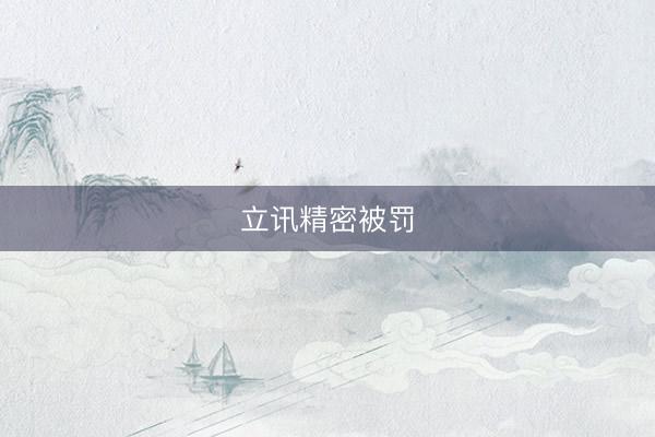 立讯精密被罚
