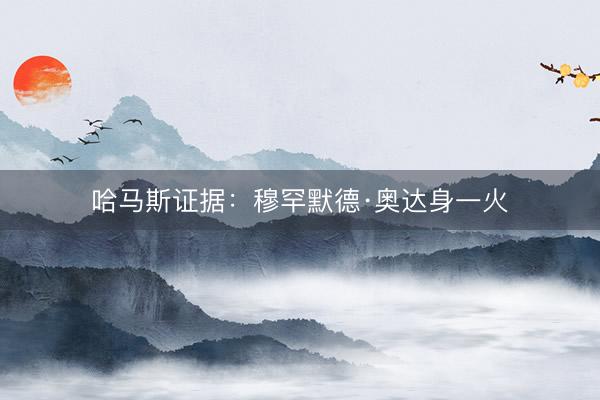 哈马斯证据：穆罕默德·奥达身一火