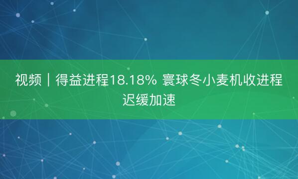 视频｜得益进程18.18% 寰球冬小麦机收进程迟缓加速