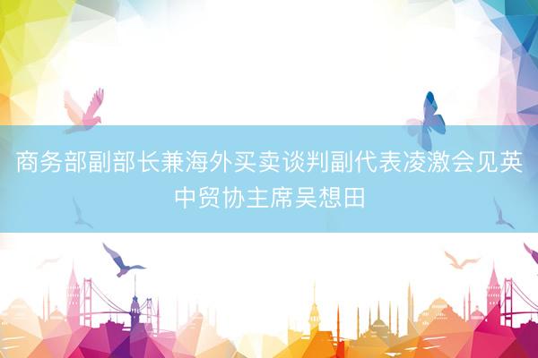 商务部副部长兼海外买卖谈判副代表凌激会见英中贸协主席吴想田