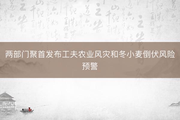 两部门聚首发布工夫农业风灾和冬小麦倒伏风险预警