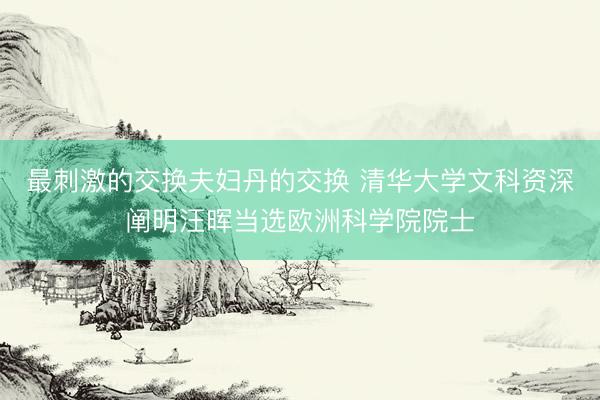 最刺激的交换夫妇丹的交换 清华大学文科资深阐明汪晖当选欧洲科学院院士