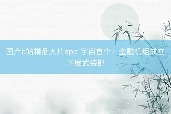 国产b站精品大片app 宇宙首个！金融机组成立下层武装部