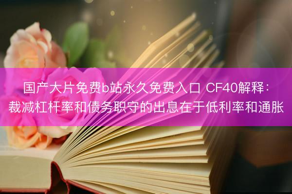 国产大片免费b站永久免费入口 CF40解释：裁减杠杆率和债务职守的出息在于低利率和通胀
