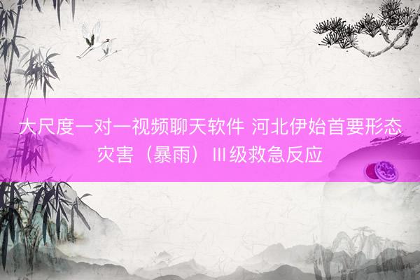 大尺度一对一视频聊天软件 河北伊始首要形态灾害（暴雨）Ⅲ级救急反应