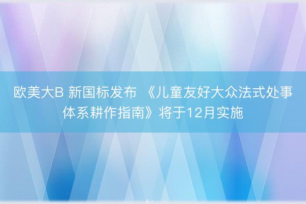 欧美大B 新国标发布 《儿童友好大众法式处事体系耕作指南》将于12月实施