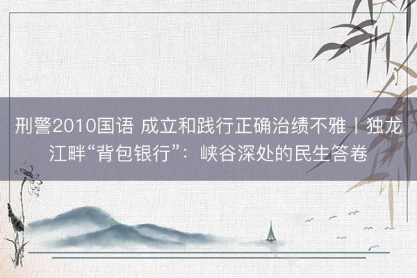 刑警2010国语 成立和践行正确治绩不雅丨独龙江畔“背包银行”：峡谷深处的民生答卷