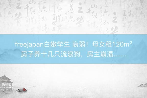 freejapan白嫩学生 衰弱!母女租120m²房子养十几只流浪狗,房主崩溃……
