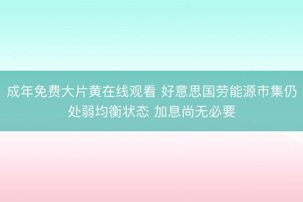 成年免费大片黄在线观看 好意思国劳能源市集仍处弱均衡状态 加息尚无必要