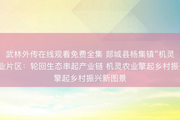 武林外传在线观看免费全集 郯城县杨集镇“机灵轮回”农业片区：轮回生态串起产业链 机灵农业擎起乡村振兴新图景