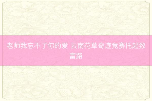 老师我忘不了你的爱 云南花草奇迹竞赛托起致富路