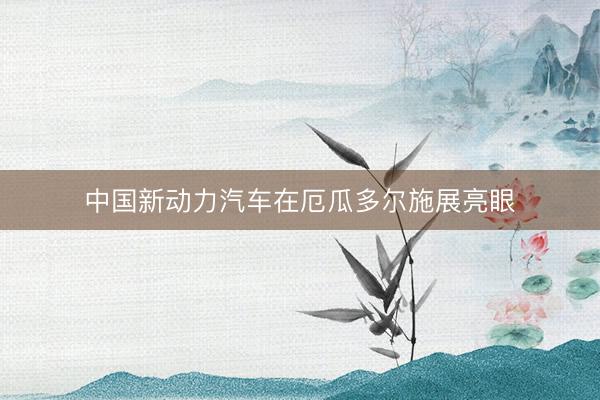 中国新动力汽车在厄瓜多尔施展亮眼